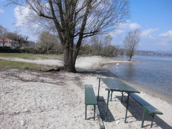 Lake Maggiore 2 Minutes Apartment Dormelletto Ngoại thất bức ảnh