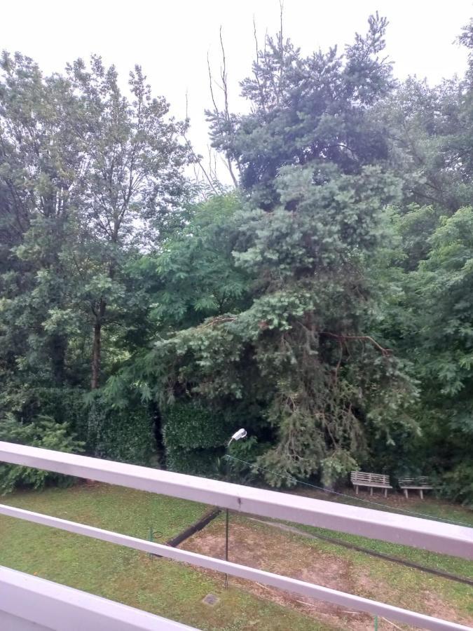 Lake Maggiore 2 Minutes Apartment Dormelletto Ngoại thất bức ảnh