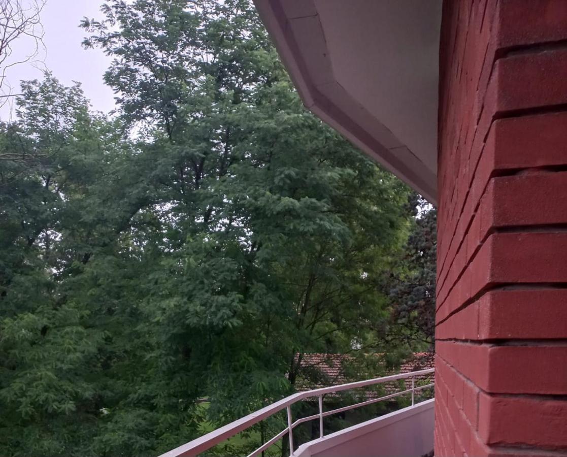 Lake Maggiore 2 Minutes Apartment Dormelletto Ngoại thất bức ảnh